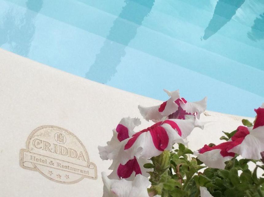 ג'יצריה Cridda Hotel & Restaurant מראה חיצוני תמונה